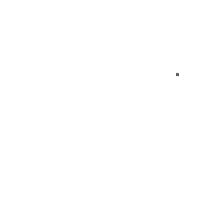 MDG